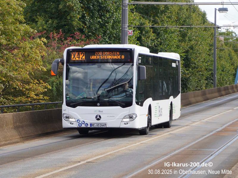 RE-VS 2447